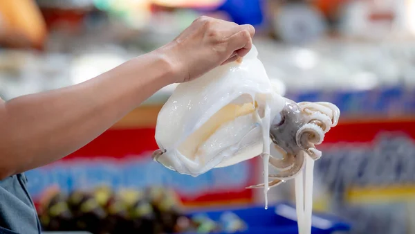 Close Hand Holding Squid Seafood Market — Stock Photo, Image