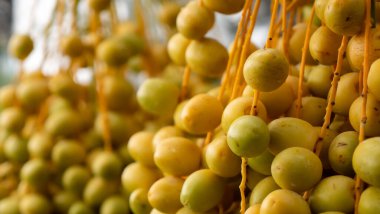 Tomurcukları birbirine bitişik,