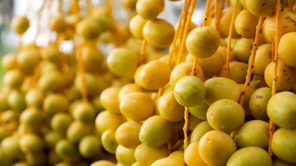 Tomurcukları birbirine bitişik,