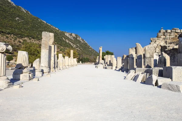 Antik Efes Antik şehir sokakta bir perspektif görünümü sütunları güzel kalıntıları ile.