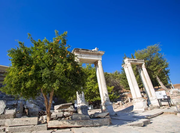 View of the ruins of an ancient Roman temple and a pomegranate tree in the ancient city of Ephesus.