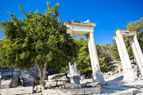 Närbild Antika Tempel Kolumner Och Granatäpple Antik Romersk Stad — Stockfoto