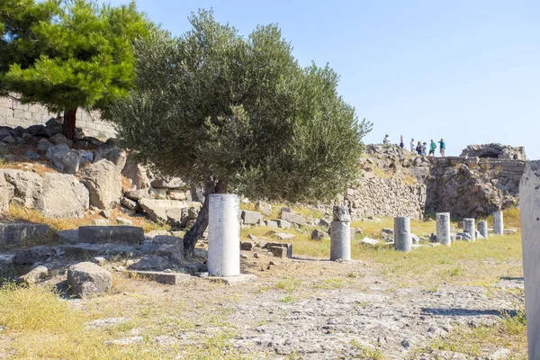 Antik bir tapınak, bir büyük zeytin ağacı ve turistler arka planda kalıntıları