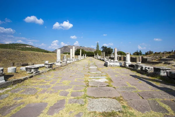 Gros Plan Vue Horizontale Une Ancienne Route Avec Des Colonnes — Photo