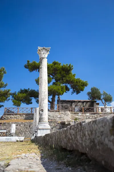 Antik Roma sütun güzel manzarasına yeşil çam ve mavi gökyüzü arka plan üzerinde.