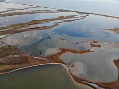 Ukrayna, Azak Denizi, yaz, kıyı Gölü, ness