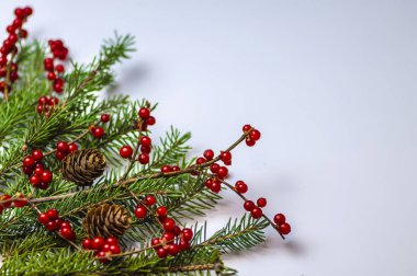 Süslemeli Noel ağacı dalı