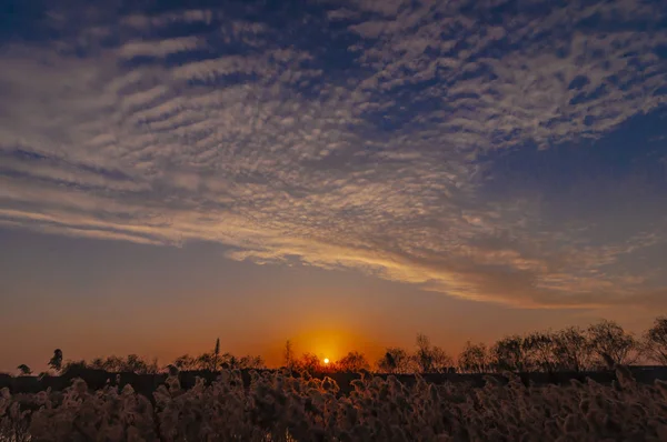 夕焼け 青空と白い雲 中国長春 Beihu 国家湿地公園 — ストック写真