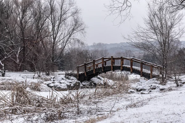 Parc Forestier National Changchun Jingyuetan Dans Neige — Photo