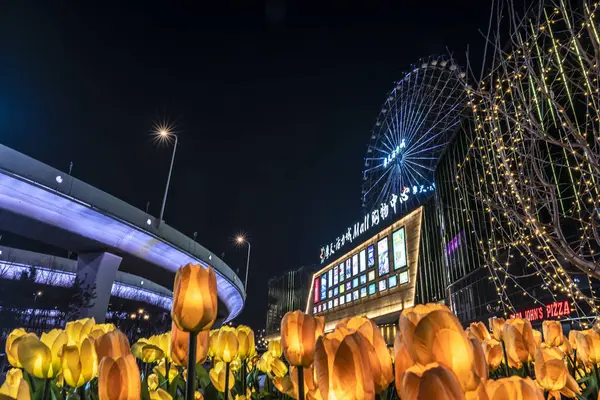 Changchun Ferris City Mall Chiny — Zdjęcie stockowe