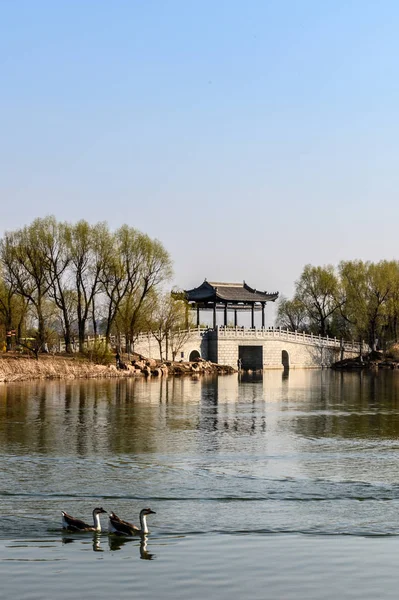 Changchun Beihu National Wetland Park, China