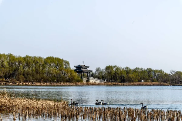 Changchun Beihu National Wetland Park, China