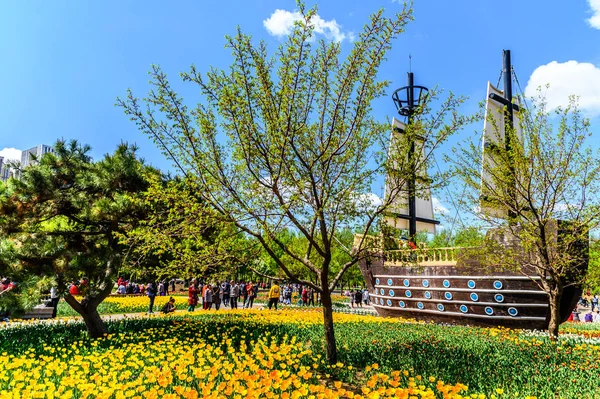Changchun Park Und Tulpen Changchun China — Stockfoto