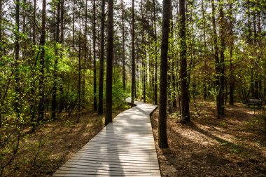 Jingyuetan National Forest Park, Changchun China 