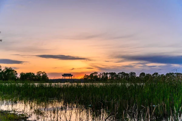 Vista Atardecer Del Parque Nacional Humedales Changchun Beihu — Foto de Stock