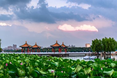 Nanhu Park Peyzajı, Changchun, Çin 