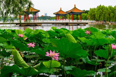 Nanhu Park Peyzajı, Changchun, Çin 