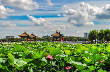 Nanhu Park Peyzajı, Changchun, Çin 
