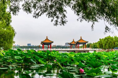 Nanhu Park Peyzajı, Changchun, Çin 