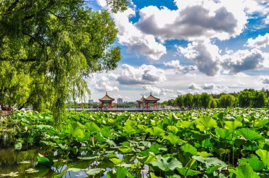 Nanhu Park Peyzajı, Changchun, Çin 