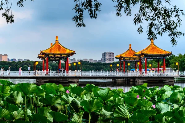 Nanhu Park Peyzajı, Changchun, Çin 