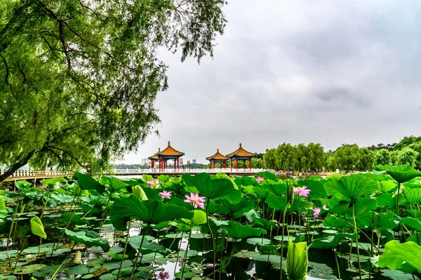 Nanhu Park Peyzajı, Changchun, Çin 