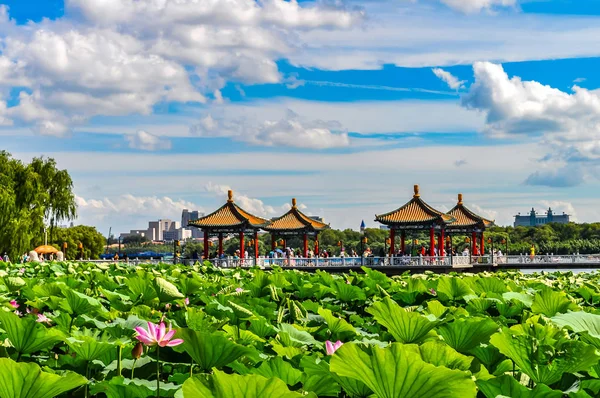 Nanhu Park Peyzajı, Changchun, Çin 