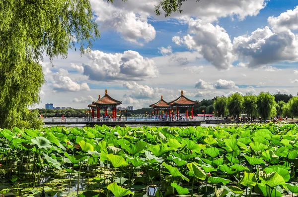 Nanhu Park Peyzajı, Changchun, Çin 