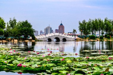 Nanhu Park Peyzajı, Changchun, Çin