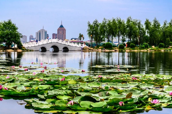 Nanhu Park Peyzajı, Changchun, Çin