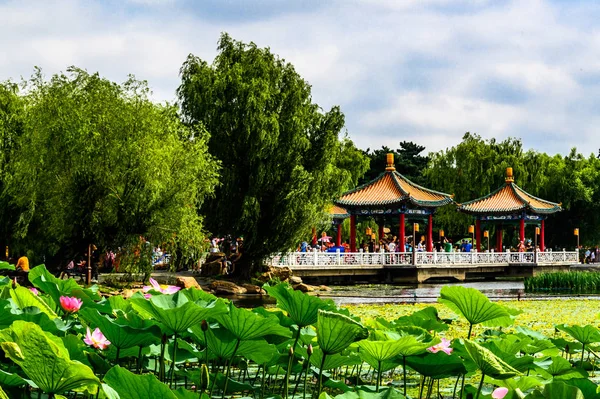 Nanhu Park Peyzajı Changchun Çin — Stok fotoğraf