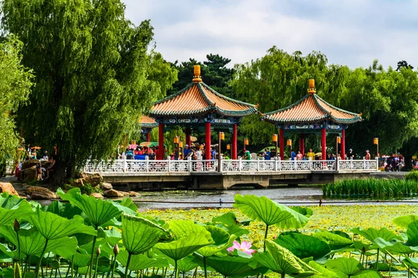 Tájkép Nanhu Park Changchun Kína — Stock Fotó