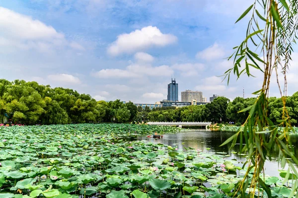 Nanhu Park Peyzajı, Changchun, Çin