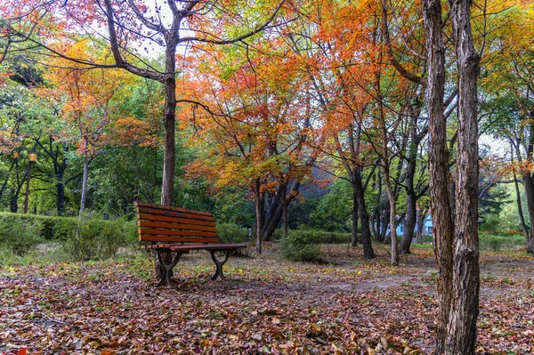 Осенний Пейзаж Парка Наньху Чанчунь Китай — стоковое фото