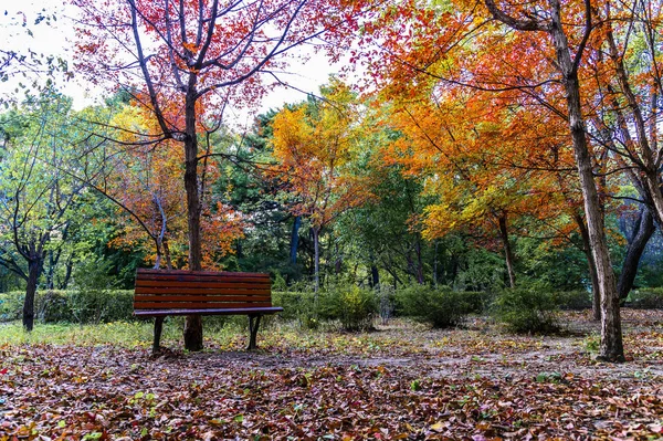 Осенний Пейзаж Парка Наньху Чанчунь Китай — стоковое фото