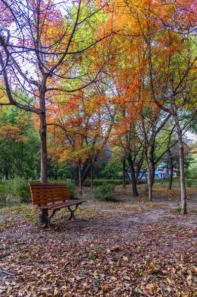 Őszi Táj Nanhu Park Changchun Kína — Stock Fotó