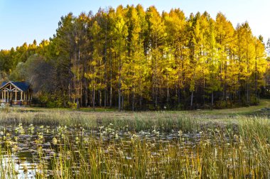 Sonbahar manzara Jingyuetan National Forest Park, Changchun, Çin