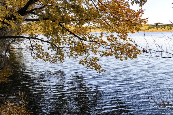 Höstlandskap Jingyuetan National Forest Park Changchun Kina — Stockfoto