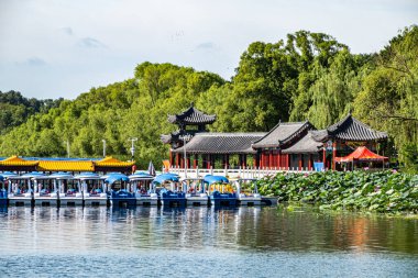 Nanhu Park, Changchun, Çin 'de sularda açan nilüfer çiçeği.
