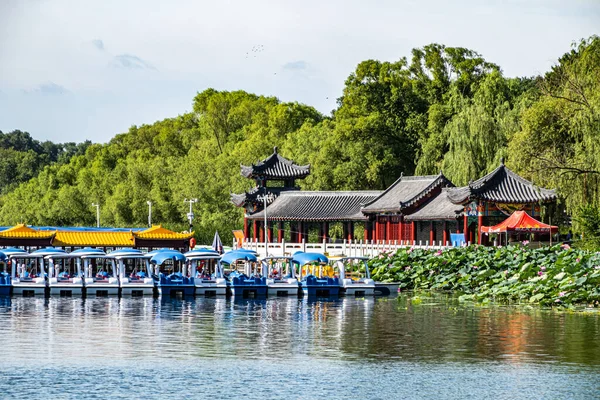 Lotus Virágzik Vízben Nanhu Park Changchun Kína — Stock Fotó