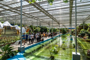 Çin 'in 19. Changchun Uluslararası Tarım Gıda Fuarı' nın (Ticaret Fuarı) fabrika sergi alanı)