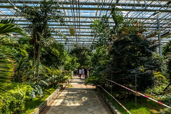 Cena Área Exposição Plantas Xix China Changchun International Farmturefood Expo — Fotografia de Stock