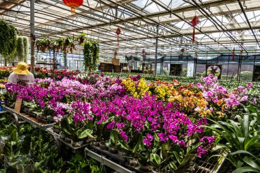 Çin 'in 19. Changchun Uluslararası Tarım Gıda Fuarı' nın (Ticaret Fuarı) fabrika sergi alanı)