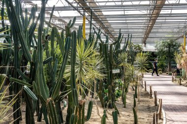 Çin 'in 19. Changchun Uluslararası Tarım Gıda Fuarı' nın (Ticaret Fuarı) fabrika sergi alanı)