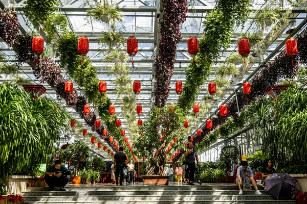 Сцена Заводской Выставочной Площадки Xix Changchun International Food Expo Торговля — стоковое фото