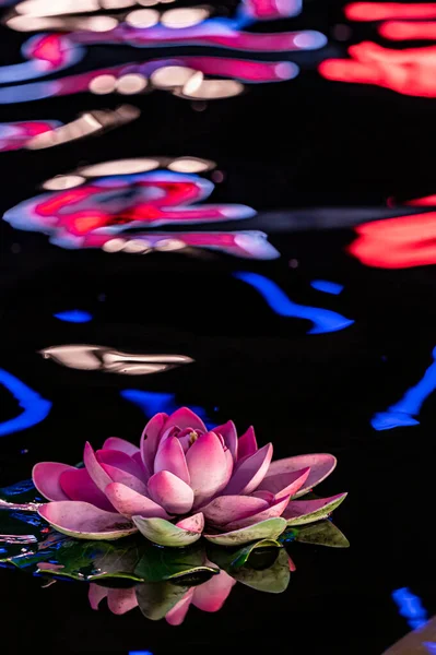 Lotus Neonlicht — Stockfoto