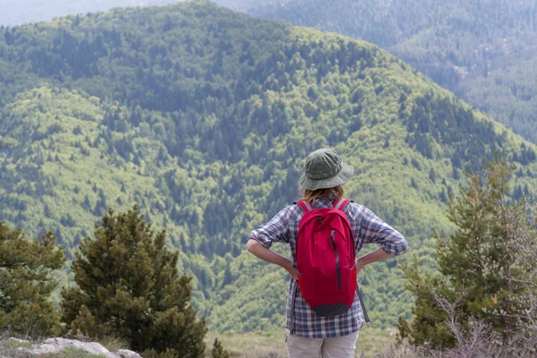 Turysta Kobieta Stoi Szczyci Się Widokiem Dolinę — Zdjęcie stockowe