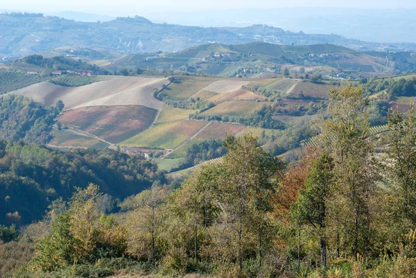 Autumnal Landscape Vines Hills Langhe Piedmont Region Italy — Stock Photo, Image