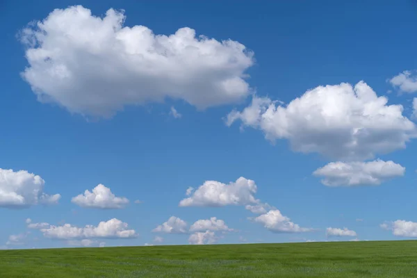 Bir Önce Hasat Yeşil Buğday Üzerinde Mavi Gökyüzünde Bulutlar Alan — Stok fotoğraf