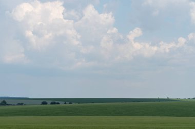 Bahar tarım manzara, Podilski Tovtry Ulusal Parkı, Podolya bölge Ukrayna